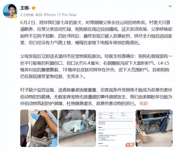 尊龙凯时官网 演员王锵喧阗发声: 相伴7年爱犬被坏心砍伤, 存一火未卜……