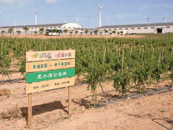 尊龙凯时2026世界杯中国官方网站 世界环境日｜度小满公益林2年种出144亩绿洲 带用户见证“绿进沙退”