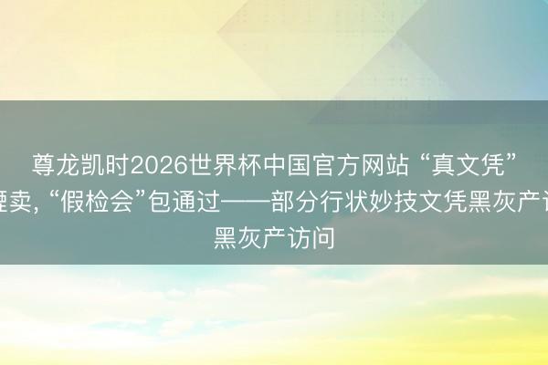 尊龙凯时2026世界杯中国官方网站 “真文凭”璷黫卖, “假检会”包通过——部分行状妙技文凭黑灰产访问