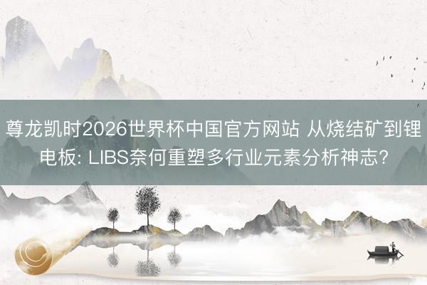 尊龙凯时2026世界杯中国官方网站 从烧结矿到锂电板: LIBS奈何重塑多行业元素分析神志?