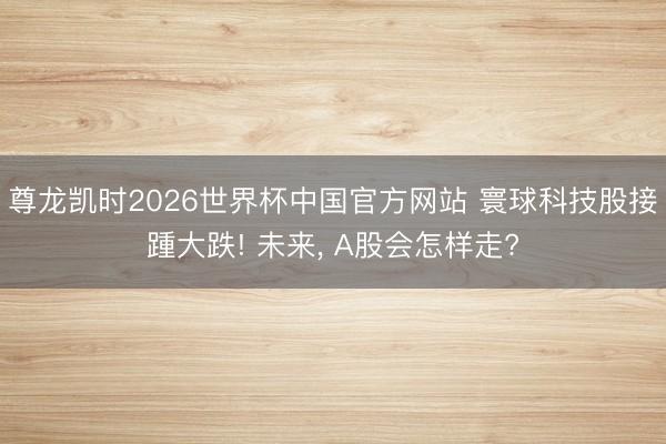 尊龙凯时2026世界杯中国官方网站 寰球科技股接踵大跌! 未来, A股会怎样走?