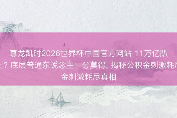 尊龙凯时2026世界杯中国官方网站 11万亿趴在账上? 底层普通东说念主一分莫得， 揭秘公积金刺激耗尽真相
