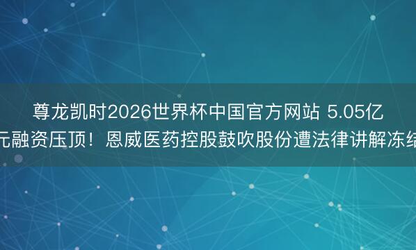 尊龙凯时2026世界杯中国官方网站 5.05亿元融资压顶！恩威医药控股鼓吹股份遭法律讲解冻结