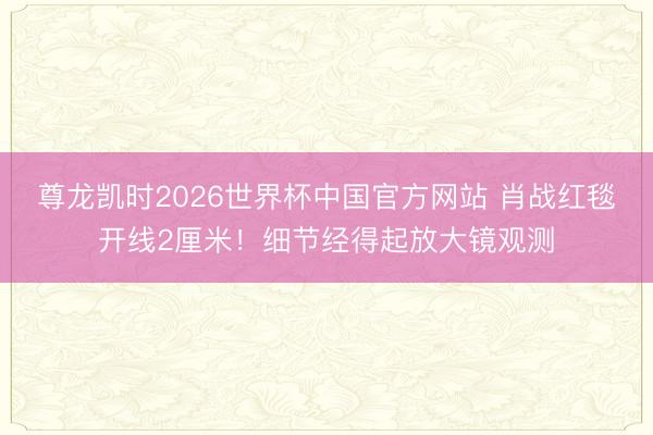 尊龙凯时2026世界杯中国官方网站 肖战红毯开线2厘米!细节经得起放大镜观测