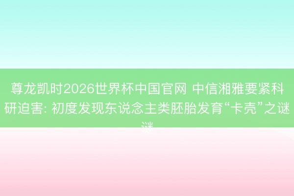 尊龙凯时2026世界杯中国官网 中信湘雅要紧科研迫害: 初度发现东说念主类胚胎发育“卡壳”之谜