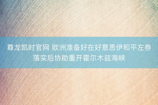 尊龙凯时官网 欧洲准备好在好意思伊和平左券落实后协助重开霍尔木兹海峡