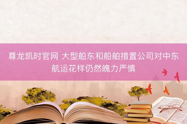 尊龙凯时官网 大型船东和船舶措置公司对中东航运花样仍然魄力严慎
