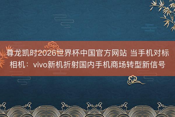 尊龙凯时2026世界杯中国官方网站 当手机对标相机：vivo新机折射国内手机商场转型新信号