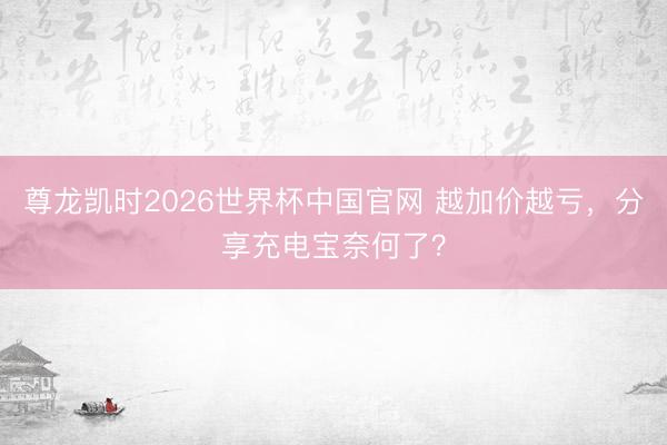 尊龙凯时2026世界杯中国官网 越加价越亏，分享充电宝奈何了？