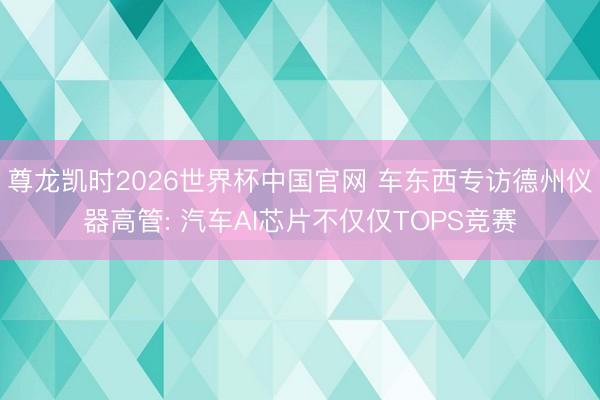 尊龙凯时2026世界杯中国官网 车东西专访德州仪器高管: 汽车AI芯片不仅仅TOPS竞赛