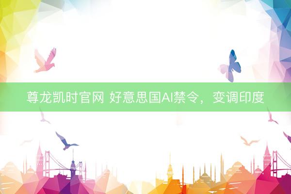 尊龙凯时官网 好意思国AI禁令，变调印度