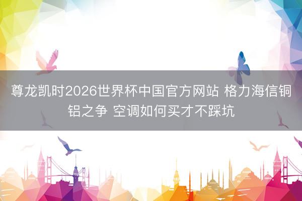 尊龙凯时2026世界杯中国官方网站 格力海信铜铝之争 空调如何买才不踩坑